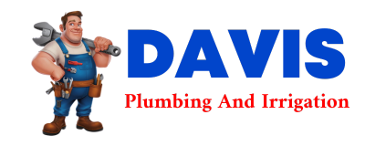 Trusted plumber in HAMER